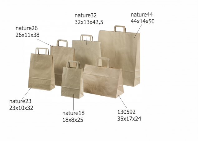 Brown Paper Bags with Flat Handles 