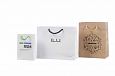 handmade laminated paper bag with logo | Galleri- Laminated Paper Bags durable laminated paper bag
